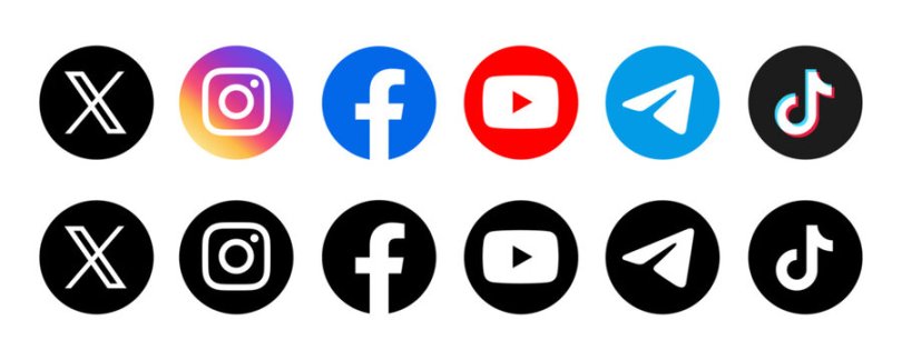 Which social media platforms do you use the most?